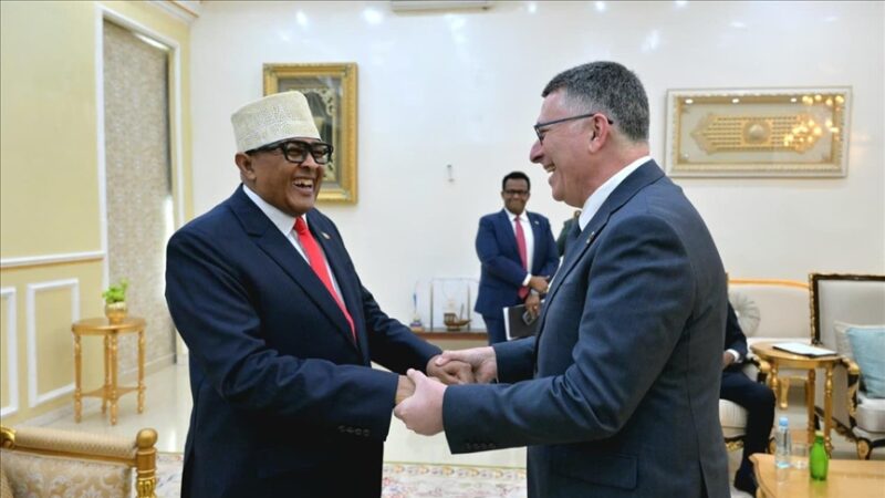 Somaliland : L’OCI et 22 pays dénoncent la visite du ministre israélien