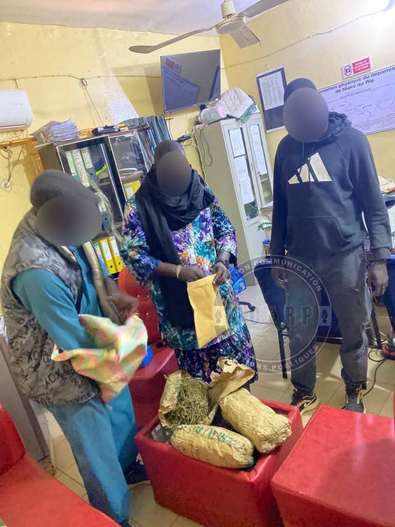 Lutte contre le trafic de drogue à Nioro : Les détails de l’opération de la gendarmerie ayant abouti à la saisie de 4 kg de chanvre indien