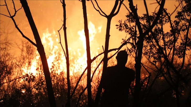 Australie : L&rsquo;état de catastrophe déclaré à Victoria, plus de 130 bâtiments ravagés par les flammes