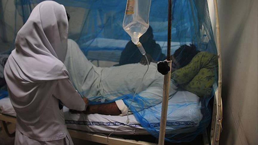 Inde : Alerte sanitaire au Bengale occidental après la détection de cas suspects de virus Nipah