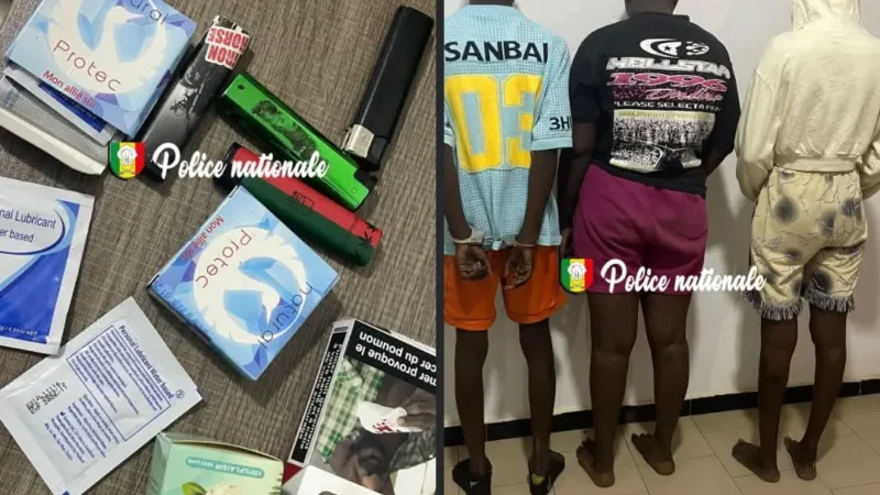 Sicap Mbao : La police démantèle un réseau de prostitution clandestine, des préservatifs et lubrifiants saisis