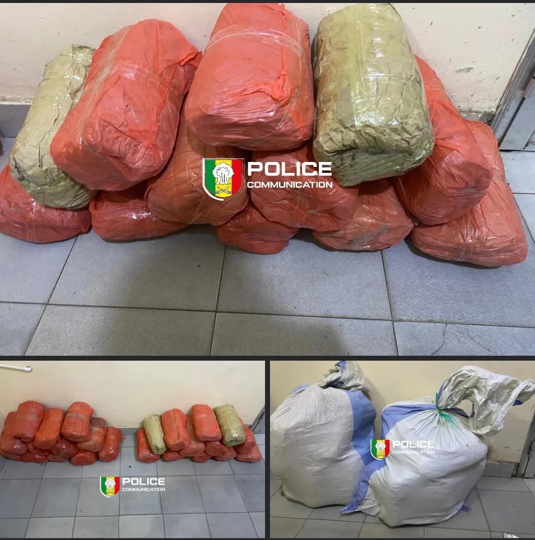 Lutte contre le trafic de drogue : La BRS de Fatick met la main sur 24 kg de chanvre indien à Sirmang