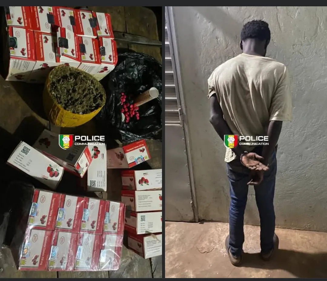 Kédougou : La BRS met la main sur un trafiquant avec 2 640 comprimés de Tramadol et du Skunk à Tenkoto