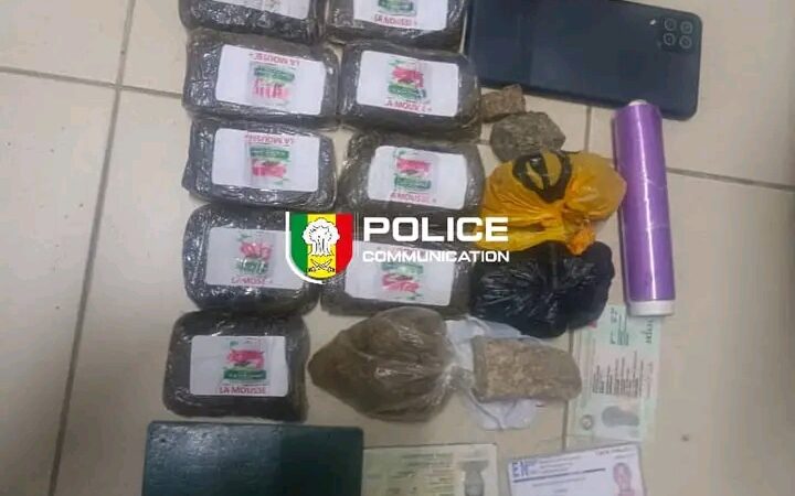 Dakar : la BRS démantèle un réseau de trafic de drogues dans les quartiers résidentiels