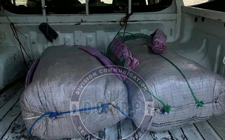 Kaolack : Trois individus arrêtés avec 53 kg de chanvre indien