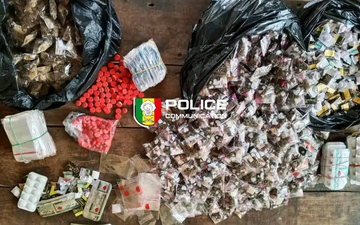 Trafic de stupéfiants à Kédougou : 566 comprimés de Tramadol et 451 paquets de kush saisis (Photos)