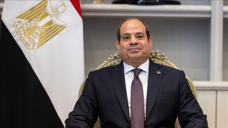 Au terme de l&rsquo;échange à Davos, l&rsquo;organisme de supervision nouvellement créé que l’Égypte a accepté de rejoindre sous condition