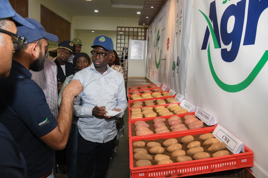 Pour acter la fin des importations en 2026, le volume de production précis que le Sénégal doit impérativement atteindre