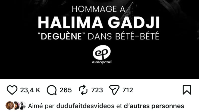 Pour honorer la mémoire de Halima Gadji, les témoignages concordants livrés par les maisons de production Evenprod et Marodi