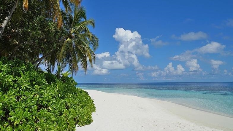 Royaume-Uni : Ce blocage venu de Washington qui suspend indéfiniment la rétrocession des Chagos à Maurice