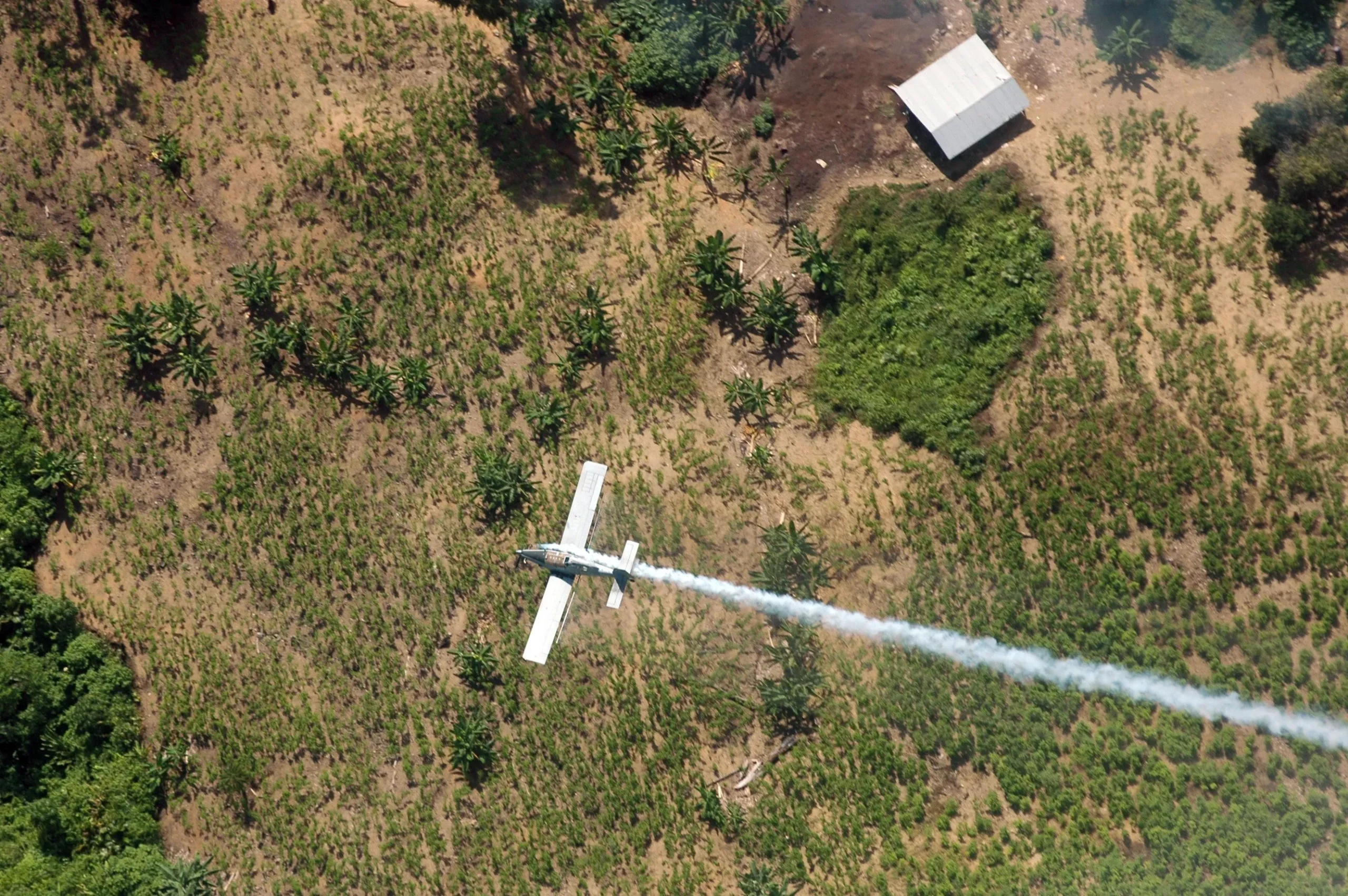 Au cœur d’une zone rouge en Colombie, l’identité des passagers de l’avion disparu mobilise l’État-major