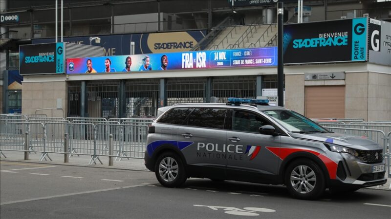 France : Importés de Serbie avec de faux papiers, la pratique chirurgicale interdite que ce réseau imposait aux chiots avant la vente