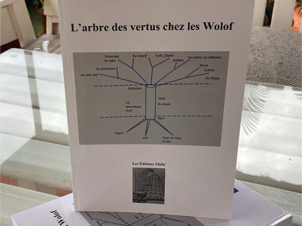 Du « Jom » à la « Teranga », la méthode de structuration visuelle proposée par Ibrahima Thioye pour comprendre la société wolof