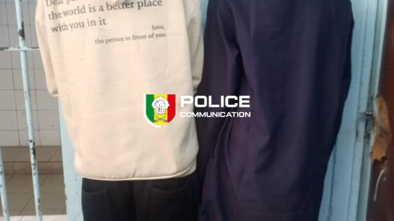 Guédiawaye : Deux individus interpellés pour actes contre nature et collecte de données pornographiques