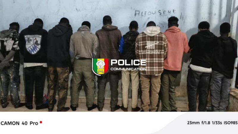 Jaxaay–Parcelles Assainies–Niacourab : 10 personnes arrêtées pour trafic de drogue… après une forte odeur de cannabis