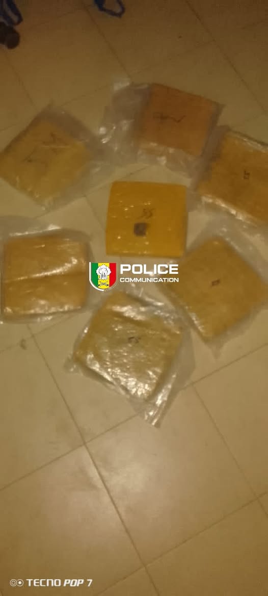 Tambacounda : la Brigade des Stupéfiants met fin à un trafic de chanvre indien …