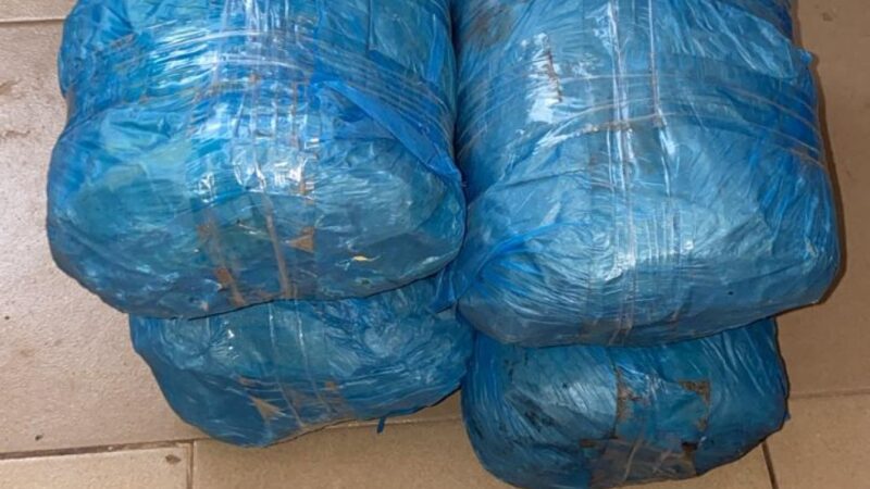 Sécurisation du Magal de Porokhane: 4 kg de chanvre indien saisis, trois suspects en garde à vue