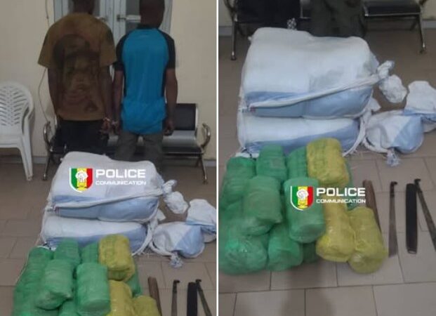 Forêt de Fatick : Des trafiquants armés de machettes stoppés avec 54 kg de chanvre indien