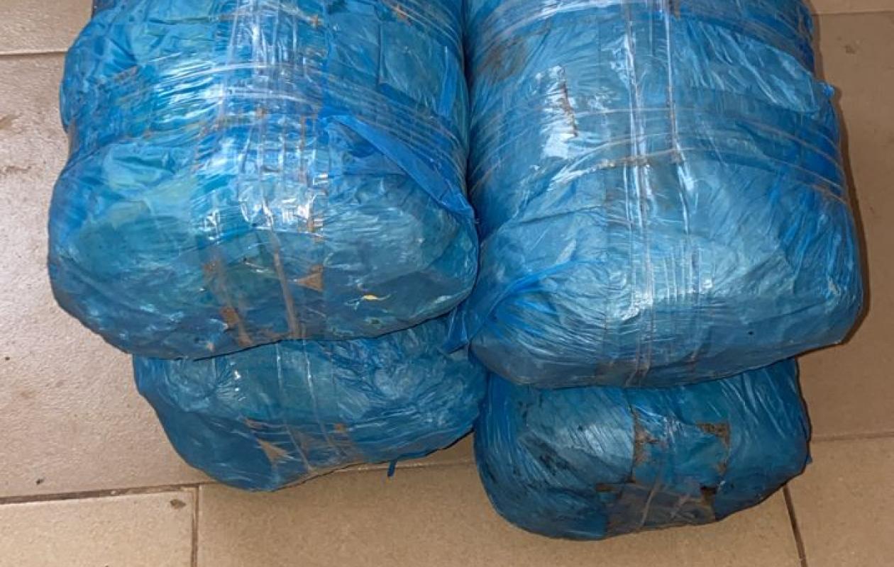 Sécurisation du Magal de Porokhane: 4 kg de chanvre indien saisis, trois suspects en garde à vue