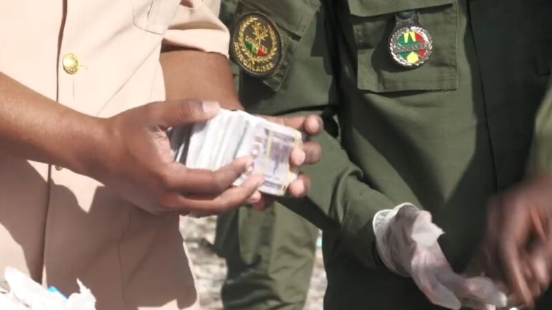 Saint-Louis : la douane détruit des marchandises illicites d’une valeur de…