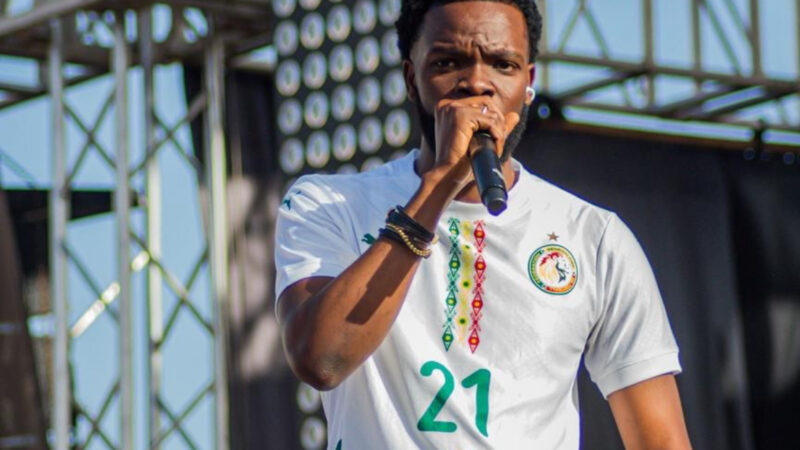 Momo Wade offre plus de mille maillots aux supporters sénégalais !