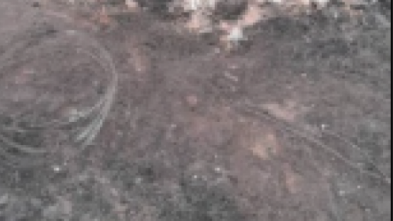 Thiès : un incendie ravage un champ d’arachides et de niébé à Fandène