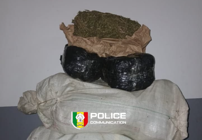 Sédhiou : 24 kg de chanvre indien saisis par l’OCRTIS à Kamoya