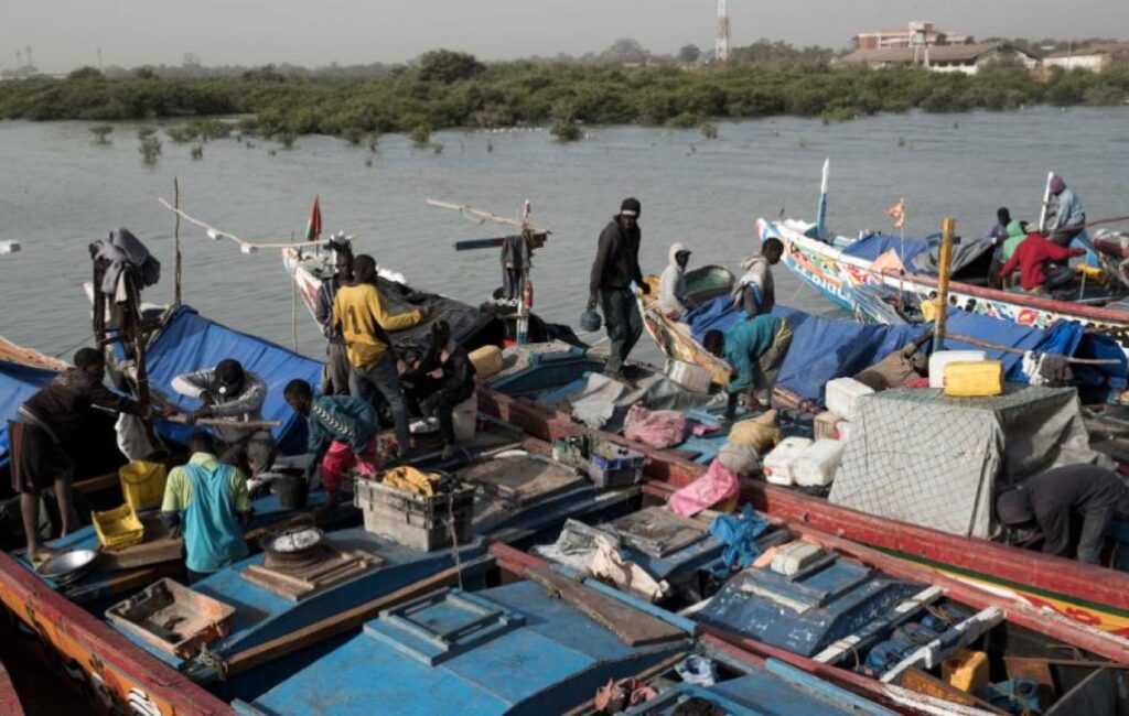 Dix pirogues sénégalaises immobilisées en Guinée-Bissau : les faits reprochés aux pêcheurs …