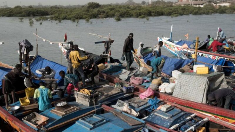 Dix pirogues sénégalaises immobilisées en Guinée-Bissau : les faits reprochés aux pêcheurs …