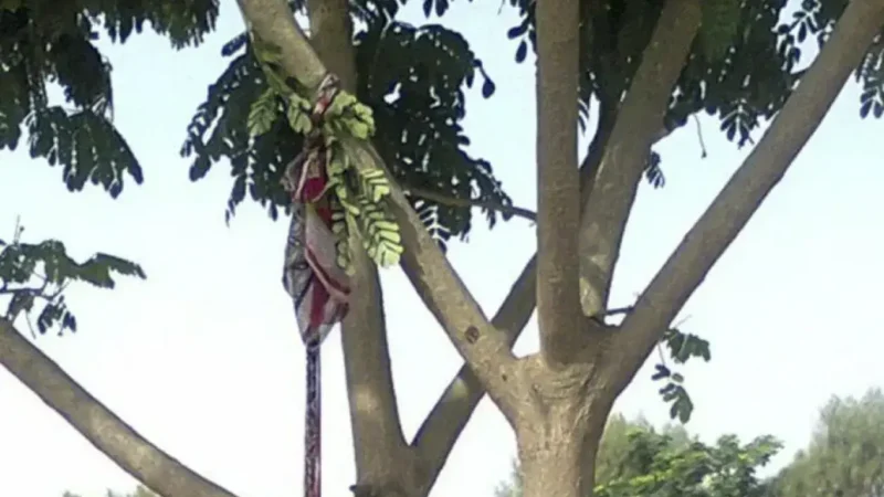 Dindéfélo : une jeune fille meurt après une chute