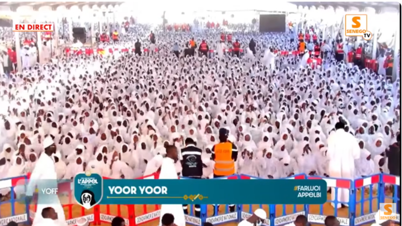 Direct sur Senego – Yoor-Yoor Diamalaye : Yoff marque l’apothéose du jour de l’Appel de Limamou