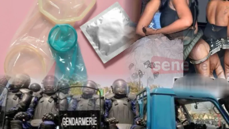 Les éléments matériels saisis au domicile du chef de réseau « Momo » dévoilent l&rsquo;organisation souterraine qui opérait à Saly Portudal