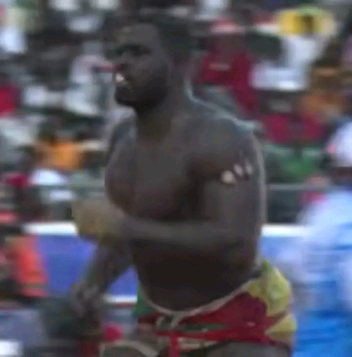 Arène nationale : Zambala terrasse Ndiaga Dolé après un rude combat (Vidéo)