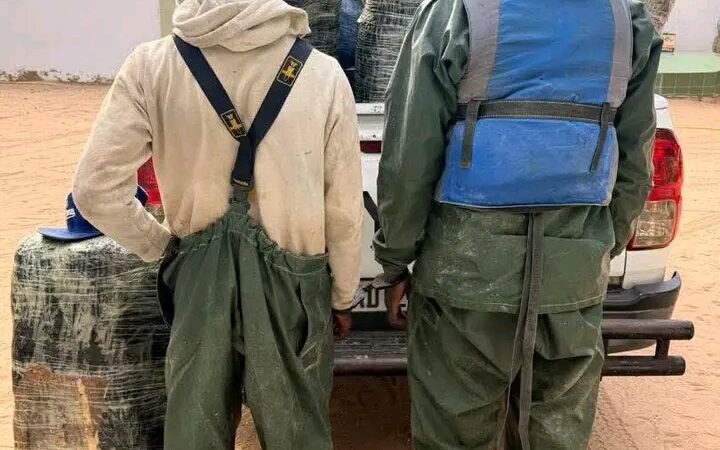 Lutte contre le trafic de drogues : Près d’une tonne de chanvre indien saisie dans les îles du Saloum en un mois