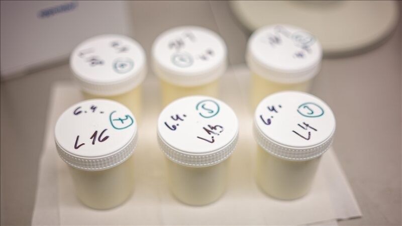 France : L’application d’un nouveau seuil de toxicité contraint deux marques supplémentaires à rappeler leurs laits infantiles