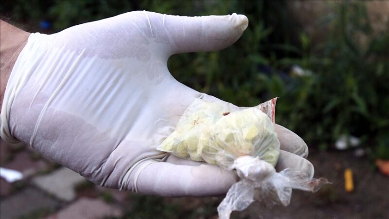 Algérie : Le volume colossal de psychotropes intercepté en 24 heures par la Gendarmerie nationale