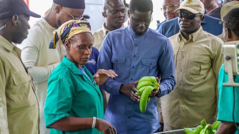 Après les résultats du gel des importations, le défi d&rsquo;envergure continentale lancé par Bassirou Diomaye Faye aux producteurs de bananes