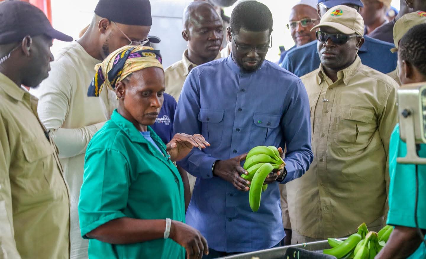 Après les résultats du gel des importations, le défi d&rsquo;envergure continentale lancé par Bassirou Diomaye Faye aux producteurs de bananes