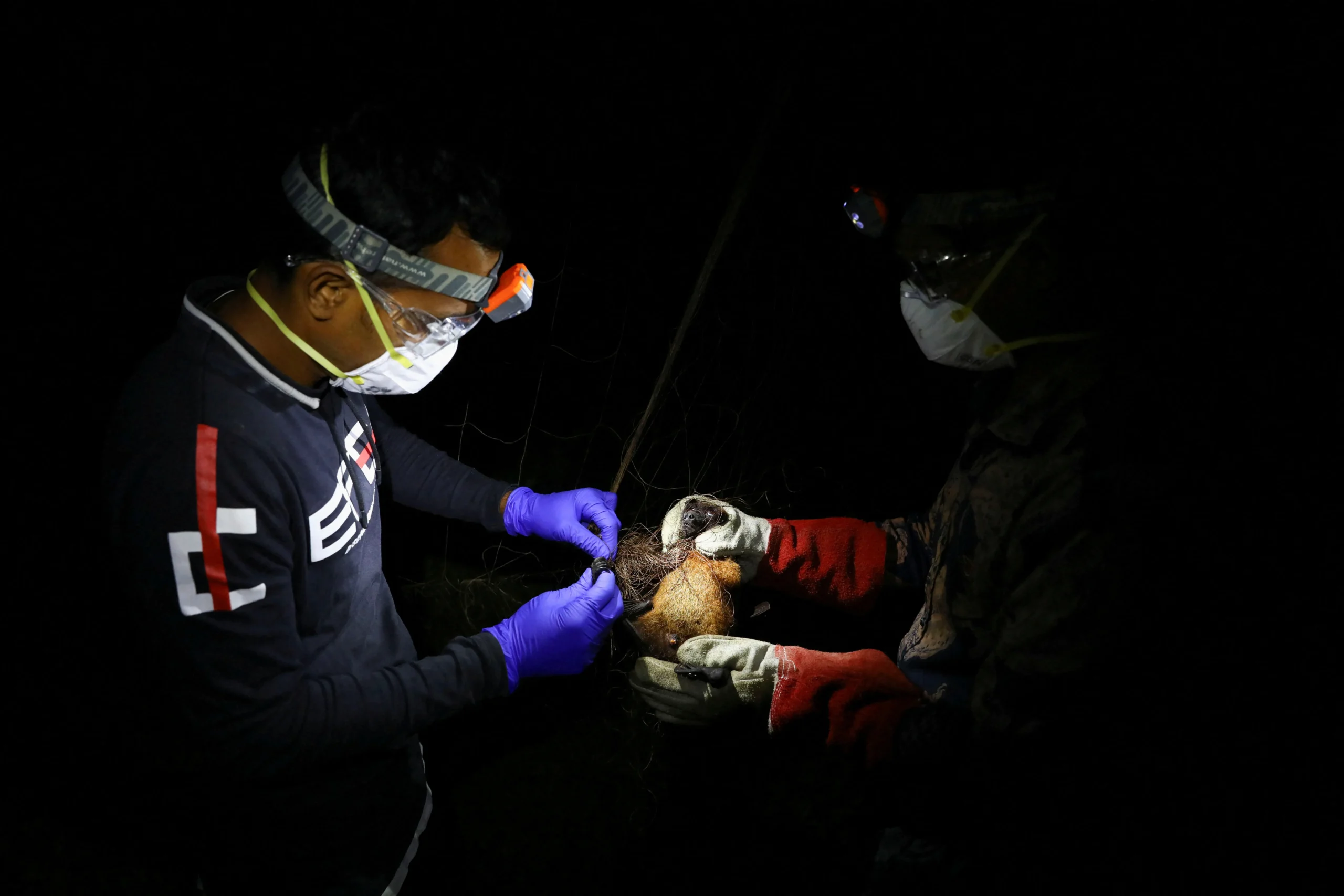 Après un décès au Bangladesh, l’OMS pointe le comportement à risque ayant favorisé le virus Nipah
