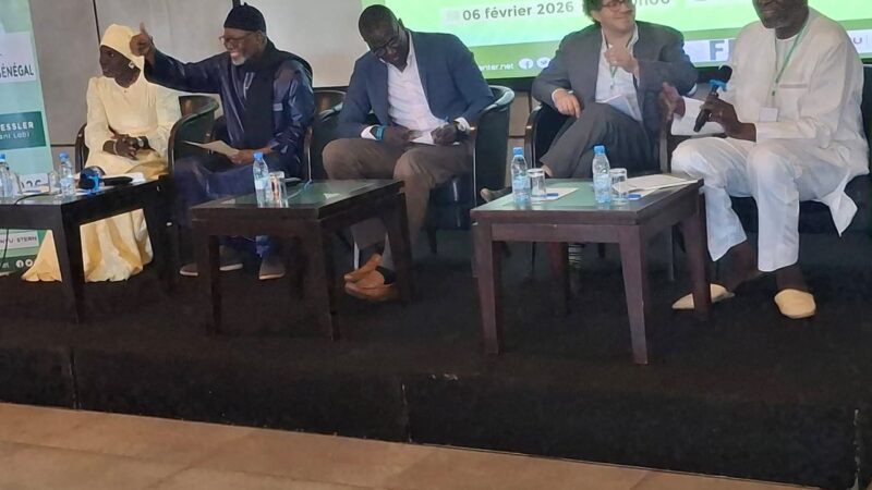 Absente des catégories analytiques, la qualification exacte que les économistes substituent à la notion de « dette cachée »