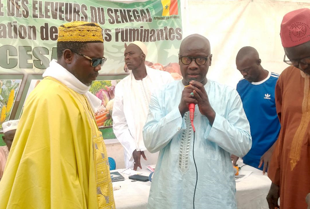 Loi existante mais inappliquée : le constat amer des éleveurs de Gatte face à la violence des vols