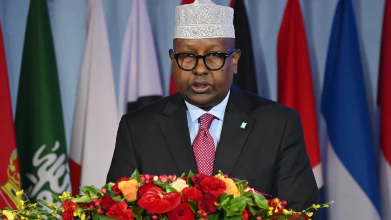 Face aux velléités sécessionnistes, la puissance du Golfe avec laquelle la Somalie vient de sceller un pacte militaire