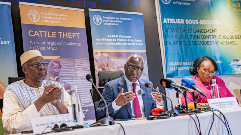 Face à une économie parallèle de 467 millions de dollars, la stratégie de riposte commune définie par quinze États à Dakar