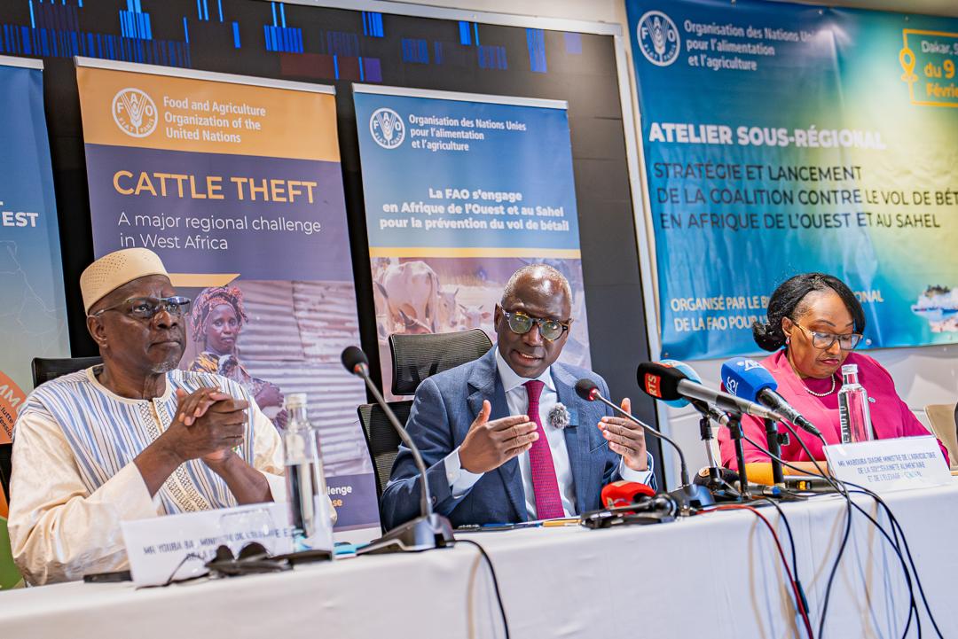 Face à une économie parallèle de 467 millions de dollars, la stratégie de riposte commune définie par quinze États à Dakar