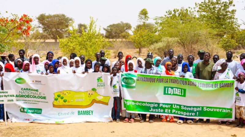 Devant les autorités administratives de Mbour, l&rsquo;obstacle structurel qui entrave l&rsquo;engagement agricole des jeunes
