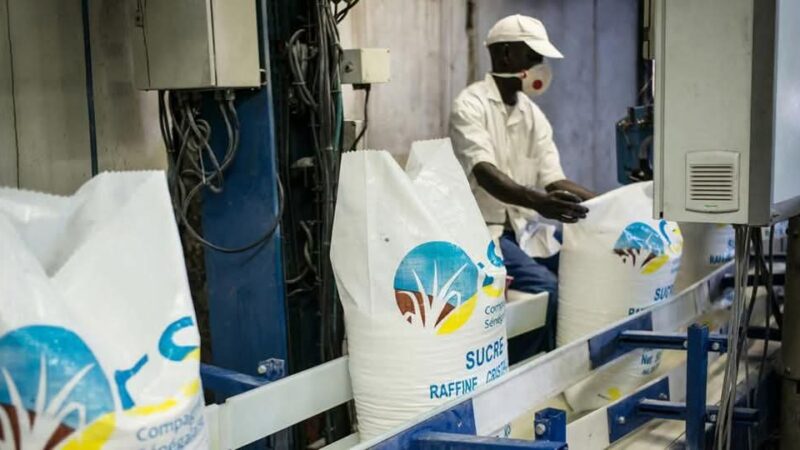 Approvisionnement du marché en période de jeûne : Le volume de stock garanti par la CSS pour écarter tout risque de pénurie