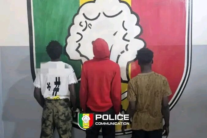 Vol de moto et téléphone : Trois mis en cause déférés au parquet à Kaolack …