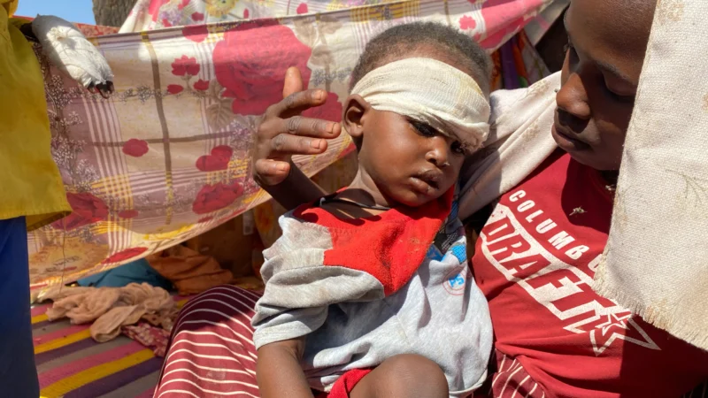 Des corps projetés en l&rsquo;air et des exécutions par groupes de 30 : le rapport qui accable les RSF au Soudan