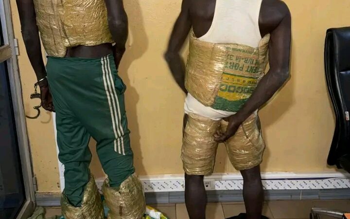 Keur-Moussa, Colobane, Moussala et Nioro : saisies record de médicaments et drogues prohibées par les Douanes