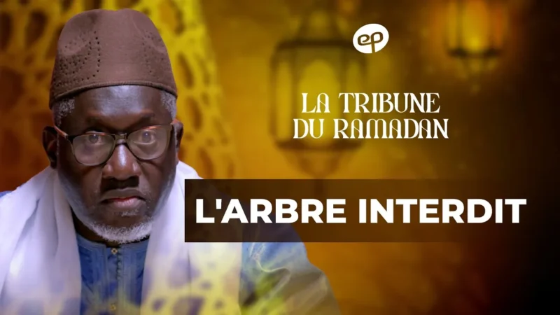 Spiritualité : Imam Kanté se penche sur un récit originel du Coran pour en tirer une leçon de vie